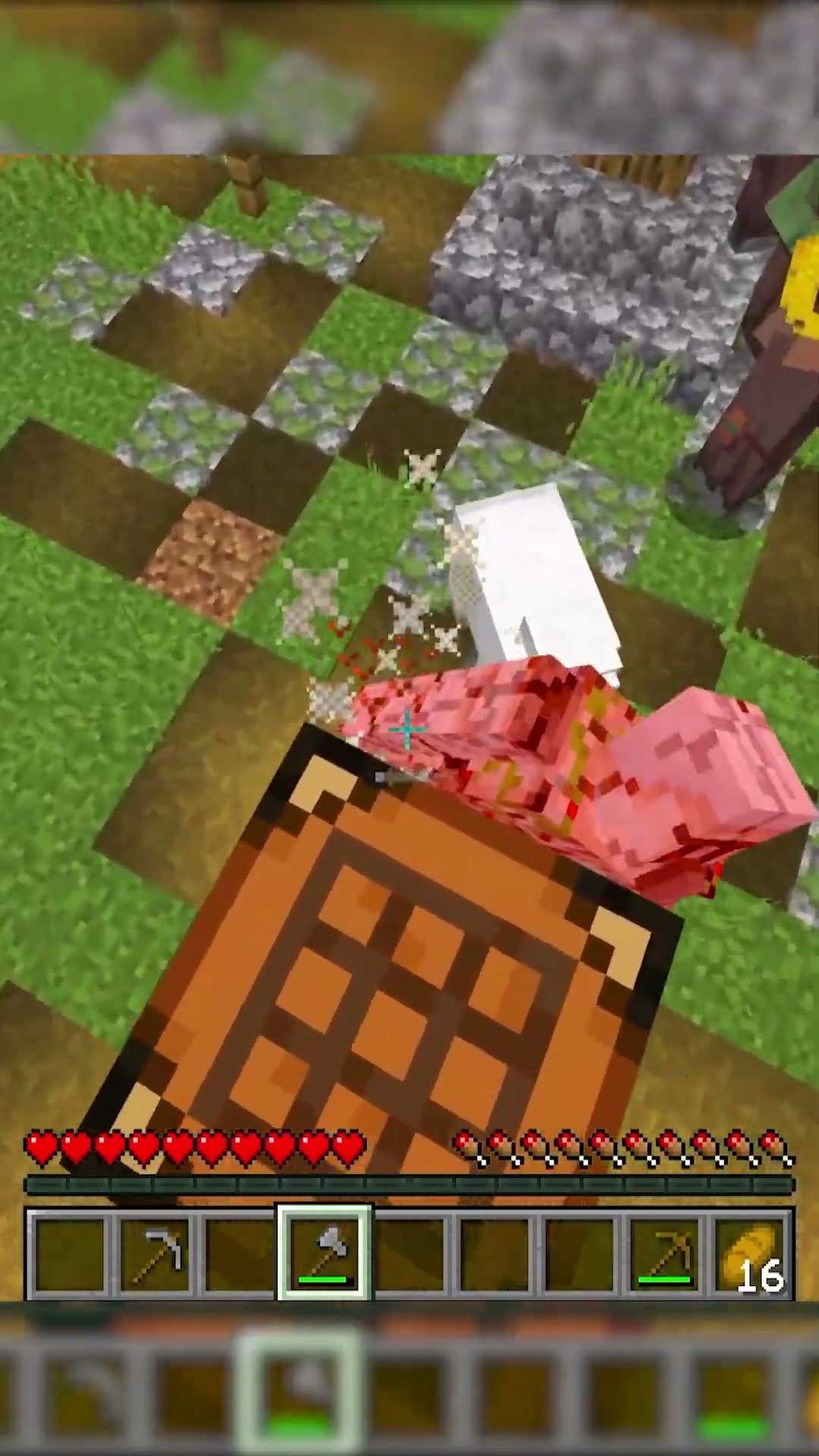 MINECRAFT, Dar Cand Dai Like Border-ul Se Face Mai Mic...