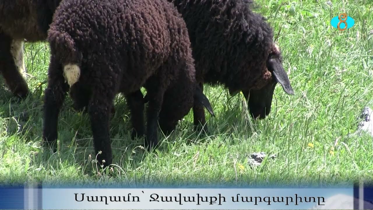 Село Сагамо и его своеобразие. Սաղամո՝ Ջավախքի մարգարիտը