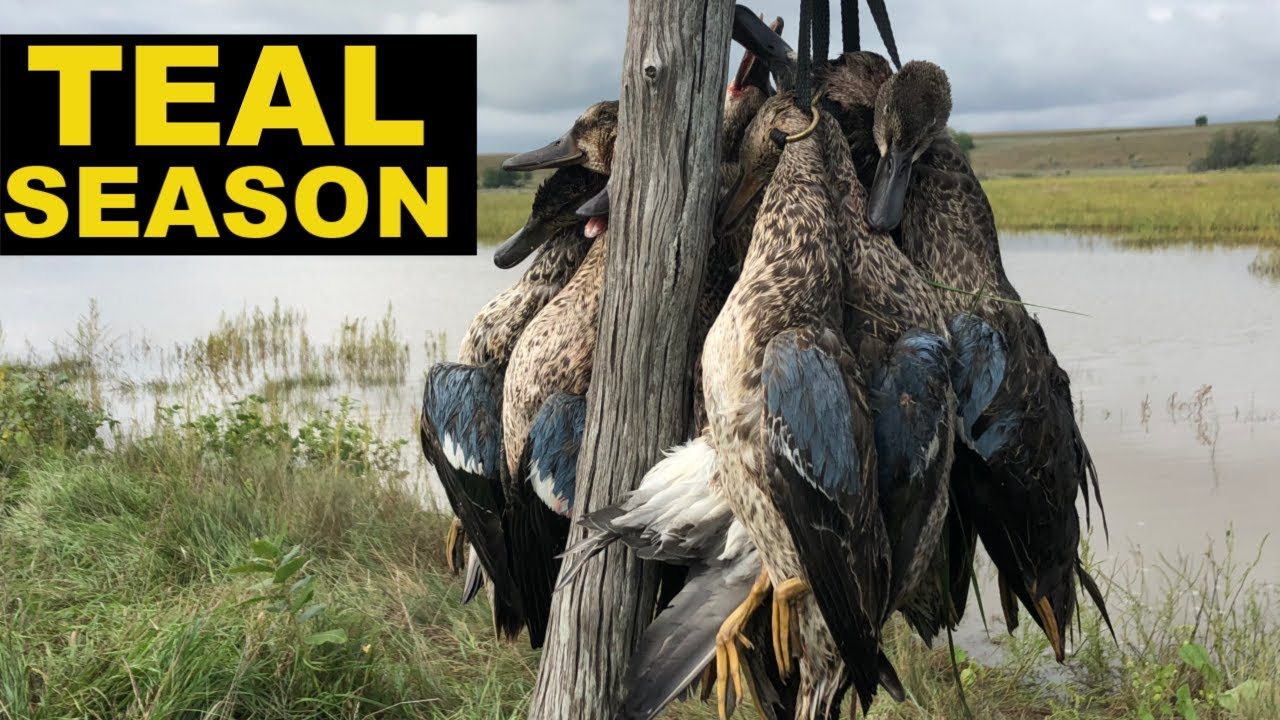 TEAL SEASON 2019 PART 1 YouTube
