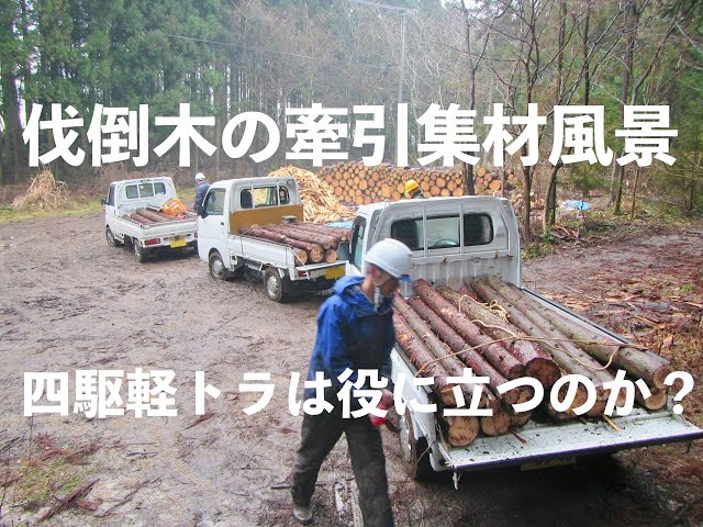 木の駅的軽トラ牽引集材例---講習会で録画が出来たのでシェアしま 木の駅的軽トラ牽引集材例---講習会で録画が出来たのでシェアしま