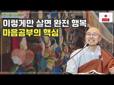 [돈오17] 이렇게만 살 수 있다면 완전 행복, 마음공부 핵심 실천, 온 우주가 나인 이유, 깊은 안도감