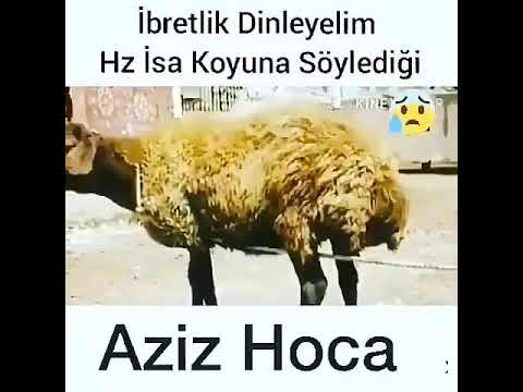 Aziz Hoca;Hz İsa (as) koyun kısası ibretlik