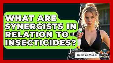 What Are Synergists In Relation To Insecticides? - Insects and Invaders