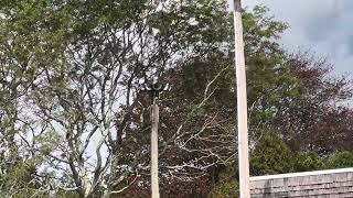 Federal Signal STH10 Siren Failure With Ambiance East Hampton NY 10-2-24