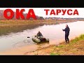 Рыбалка. Двое Суток на Оке в Калужской обл. с Леопольдом и Больничкой.