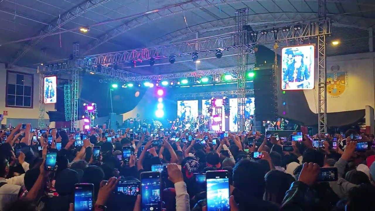 wacareando mariposas, connekte