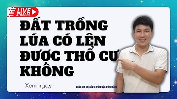 Đất trồng lúa có lên được thổ cư không I Hà Văn Linh