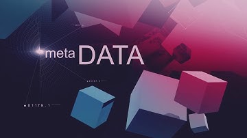 Metadata Curation on BlackBox