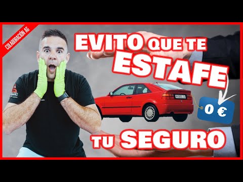 Lo que NO