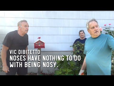 Noses have nothing to do with being nosy.