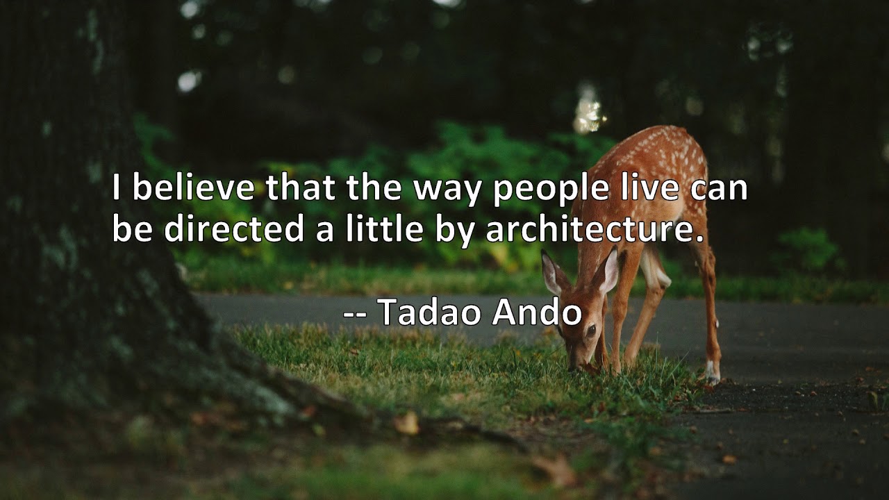 20 Quotes About Live - YouTube