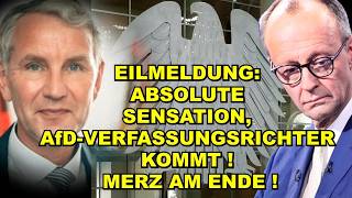 EIL: AfD-VERFASSUNGSRICHTER KOMMT!