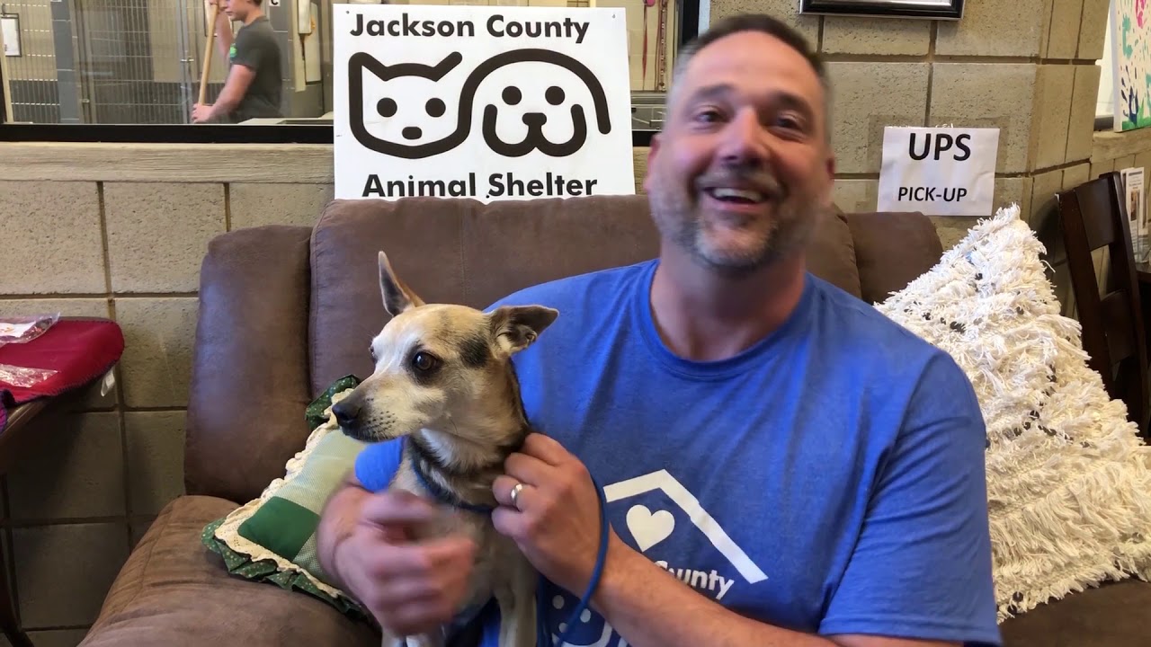 video editing software free Pet Of The Month - September 2019