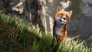 Realistic Foxes for Unity (50% Discount Release 🦊)