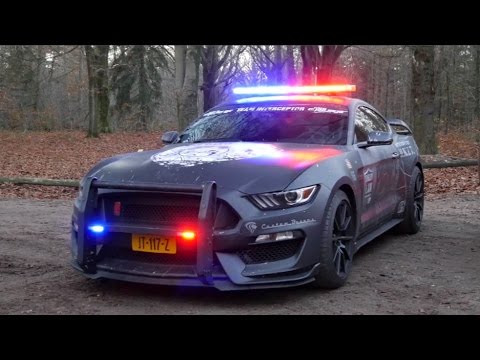 Shelby GT350 vs. Challenger SRT Hellcat Review | Hartvoorautos.nl