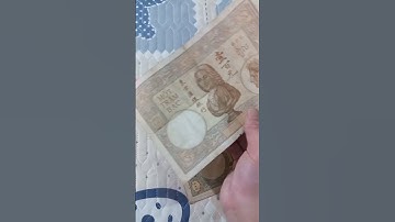 Tờ 100 đồng lư