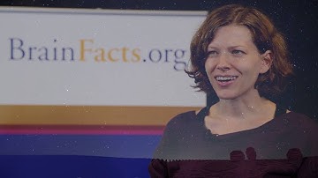 Katie Tschida: From Telescopes to Microscopes