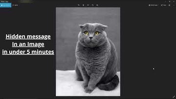 How to hide a text file in a image