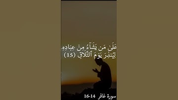 الشيخ خالد الجليل | تلاوة خاشعة