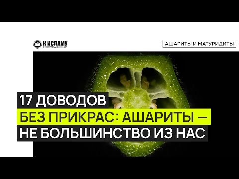 Семнадцать доводов без прикрас: ашариты — не большинство из нас. Ринат Абу Мухаммад