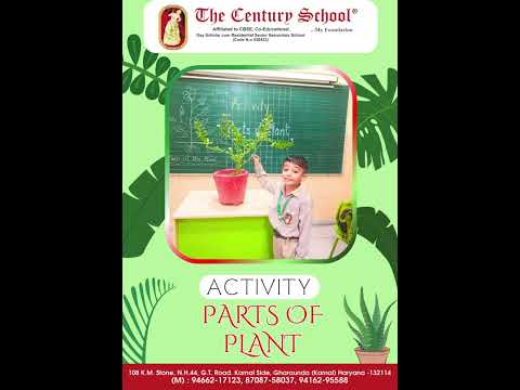 Kids at The Century School Have a Blast Learning About The Different Parts of Plants |