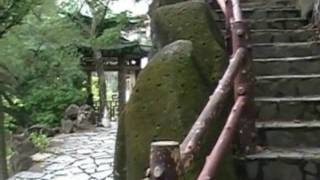 MV981114.WMV