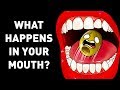 A Great Journey Inside Your Mouth