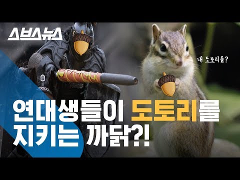 연대생들이 도토리 훔치는 도둑을 막기 위해 만든 단체?! / 스브스뉴스
