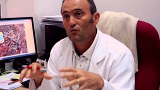 El Garbancillo de Tallante, visto por los ojos de los voluntarios europeos