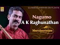 Nagumo a flute concert by A.K.Raghunathan