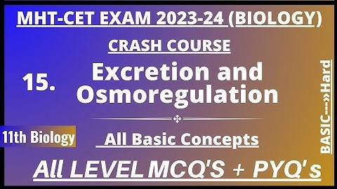 All Level MCQ
