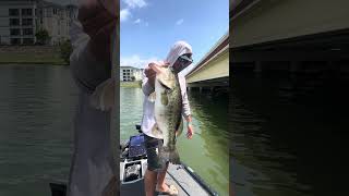 Lucky 6lber #bassfishing #texasbassfishing #lakerayhubbard #dfw #fishingguide
