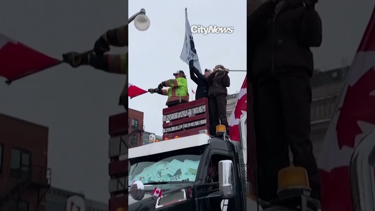 Crown Prosecutors Seek 7 8 Year Sentences For Freedom Convoy Organizers