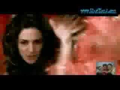 diana haddad - wele