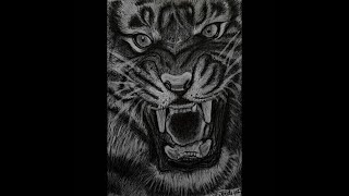 🐅🐯 ✍#shorts #draw #drawing #رسمتي #art #تظليل #رسم #video #نمر #tiger #animals #حيوانات #فيديو