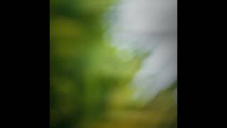 JOHN AARON COCKBURN - WEIGHTLESS