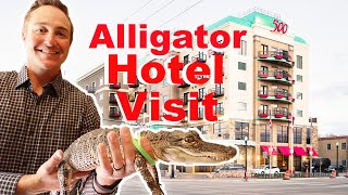 Taking My Alligator To A Fancy Hotel