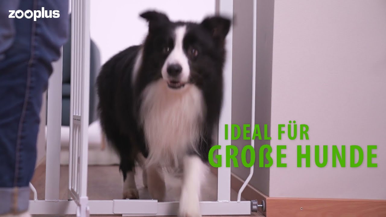 Carlson Absperrgitter Pet Gate extra hoch mit Katzentür