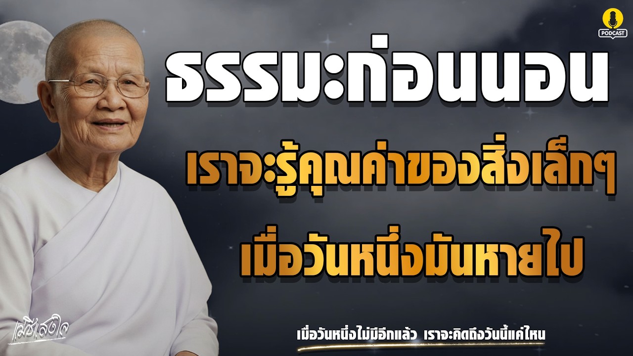 ธรรมะก่อนนอน : เราจะรู้คุณค่าของสิ่งเล็กๆ เมื่อวันหนึ่งมันหายไป | ธรรมะแม่ชีแสงใจ