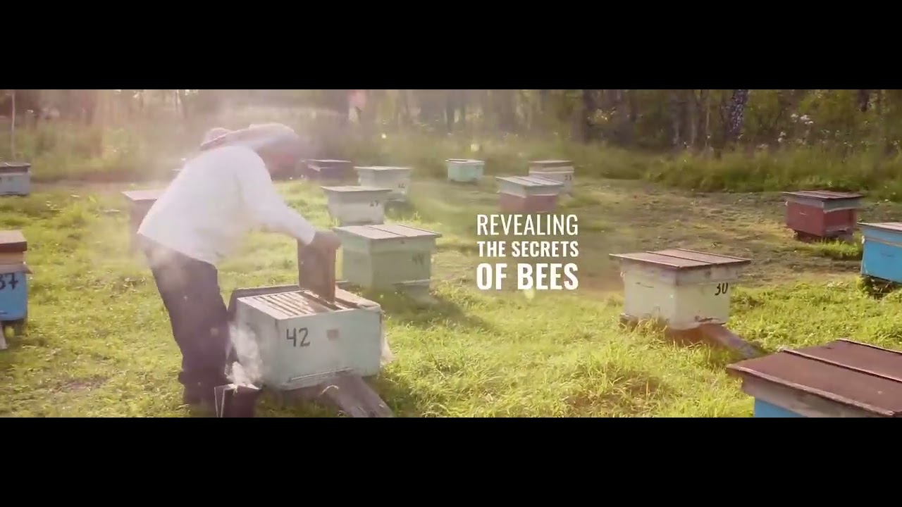 FlorMel - From The Beehive - Teeth and Gum Support 1920X700 Eng