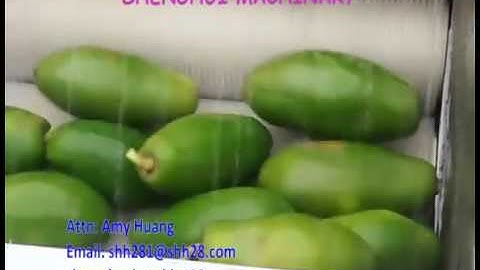 Máy rửa củ quả, máy rửa khoai tây cà rốt, máy rửa củ cải, máy rửa rau quả, máy rửa khoai tây