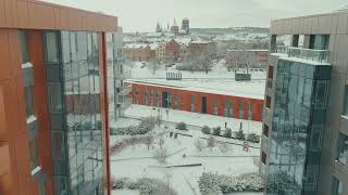 Brabank Zima 2026 Gdańsk Śródmieście