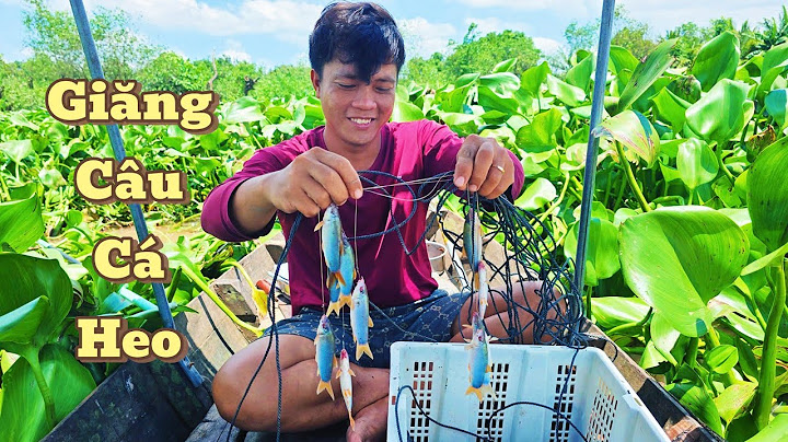 Giăng Câu Cá Heo ,Nấu Canh Chua Me Lai Rai Miền Sông Nước |Cơm Quê Nhà 139#