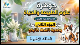 حل الجزء الثاني من تمرين القطة كاليكو