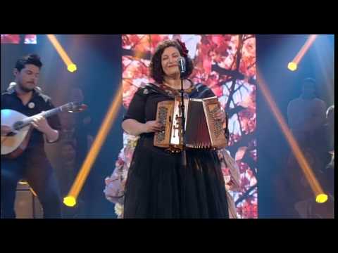 Finalistas Festival da Canção 2017