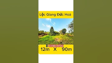 #batdongsan #bdsdainam #nhadep #datnenthuanan #datgiare #tintuc #bdstanuyen #automobile #tintucbds