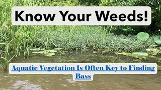 Bass Fishing 202-Lesson 132: Know Your Weeds!