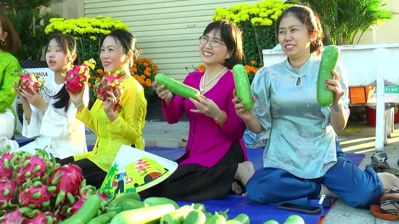 MỪNG XUÂN BÍNH NGỌ 2026