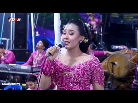 Ojo cidro versi tayub