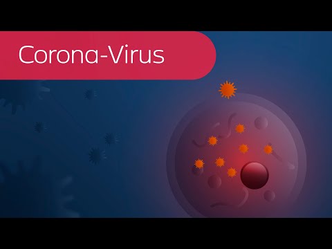 Video: Was Macht Das Coronavirus Mit Dem Menschlichen Körper? - Alternative Ansicht